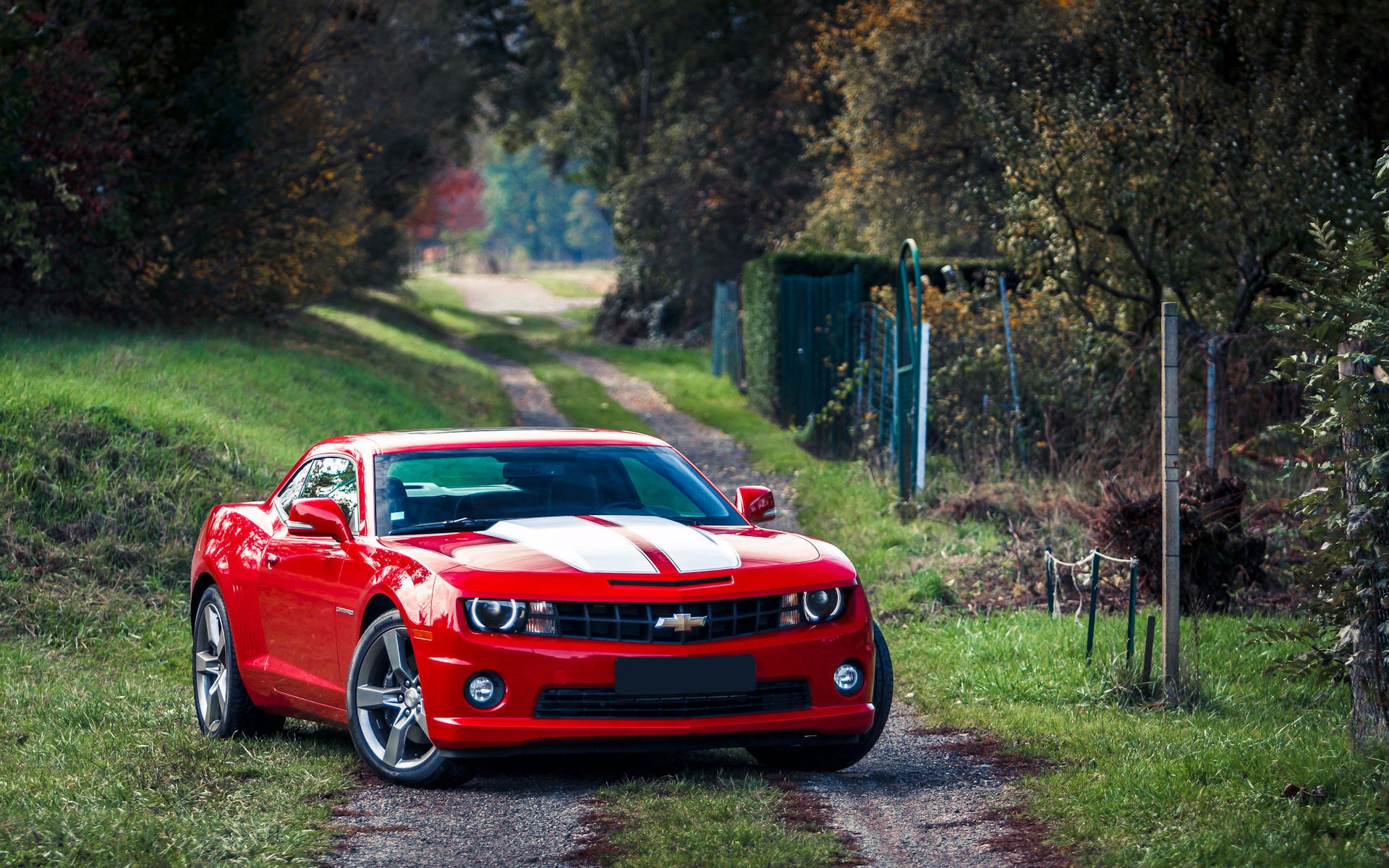 chevrolet, Camaro, Muscle, Car, Red Wallpaper