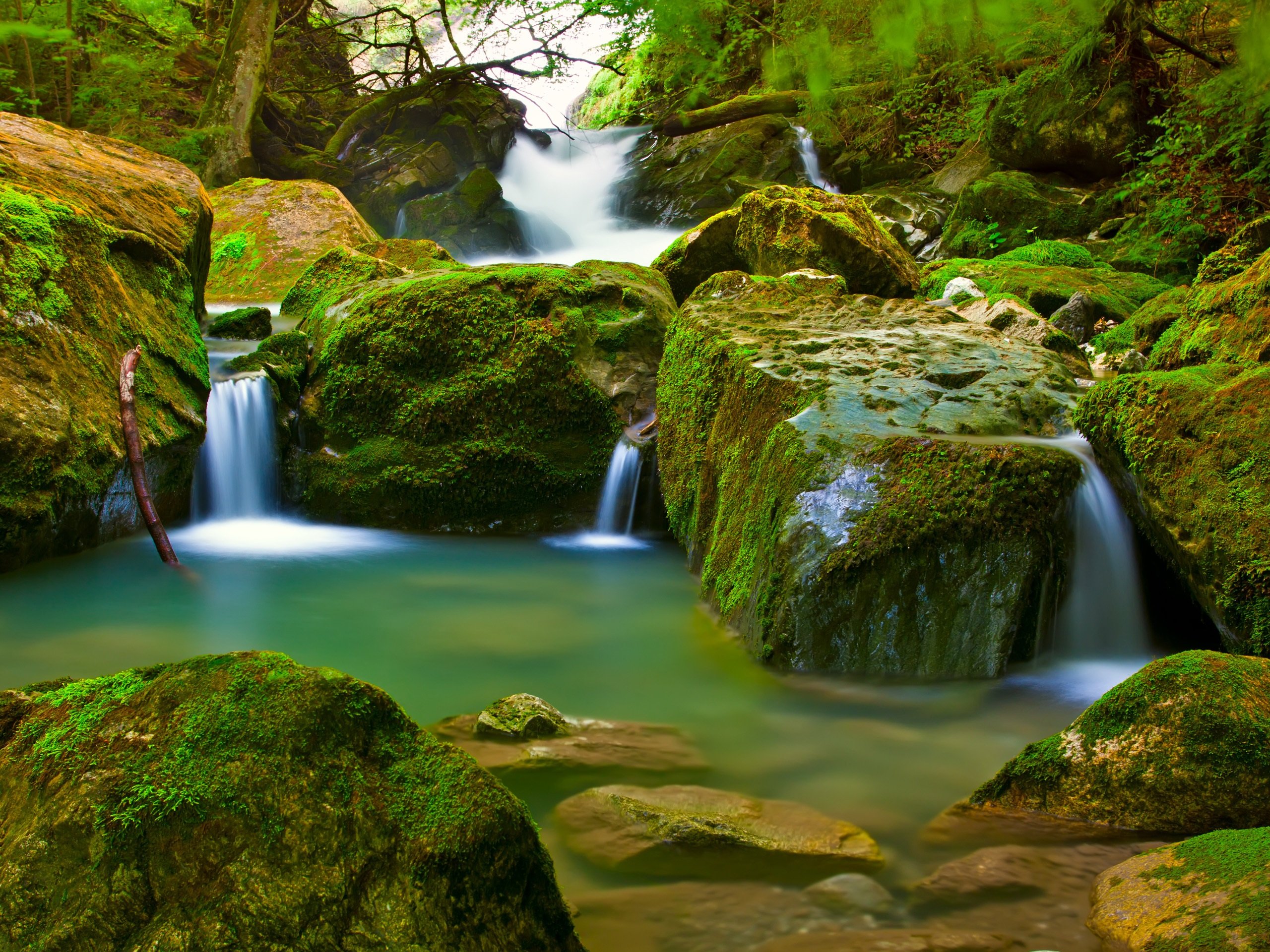 naturaleza, Cascadas, Rio Wallpaper