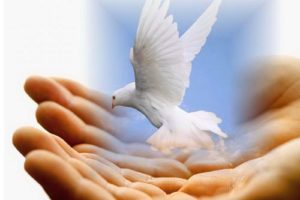 hands,  , Peace, Pigeon