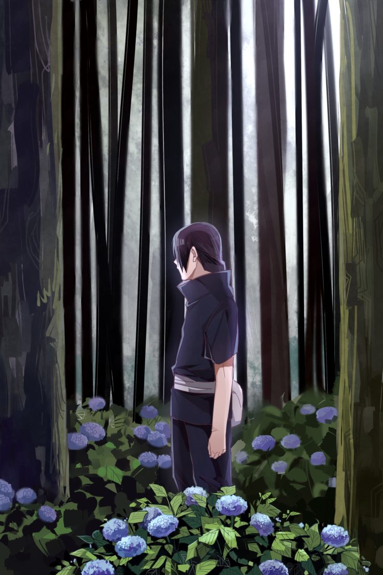 naruto, Uchiha, Itachi, Wood, Blue, Flower HD Wallpaper Desktop Background