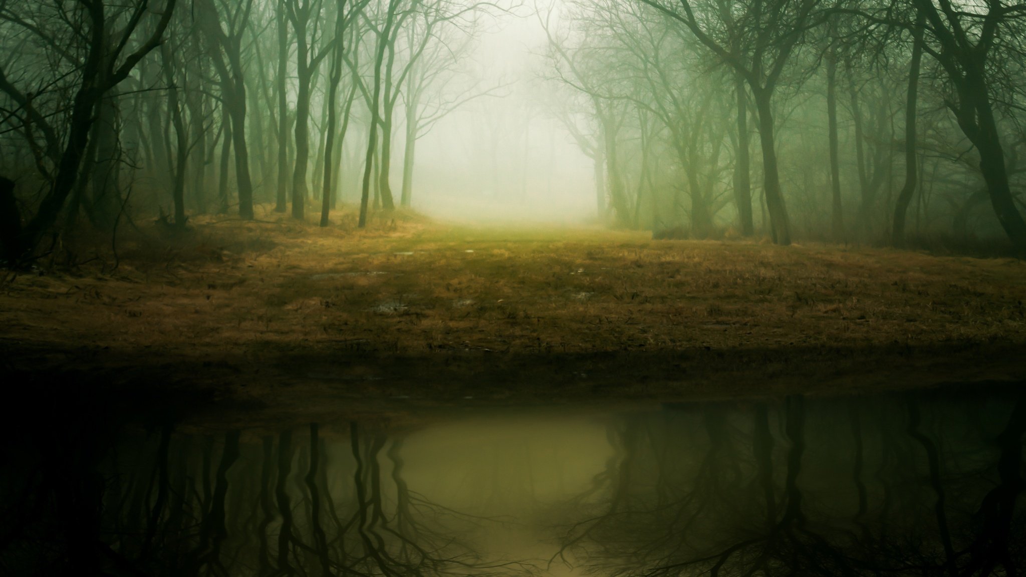 Тёмные обои на телефон лес озеро болото абстрактно