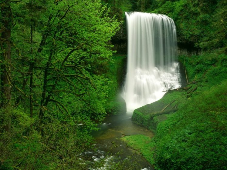 static, Waterfall, Nature, Green, Beautiful, Landscape HD Wallpaper Desktop Background