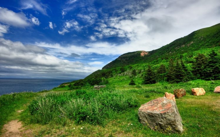 sea, Coast, Grass, Rocks, Landscape HD Wallpaper Desktop Background