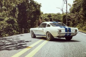 ford, Shelby, Gt350r