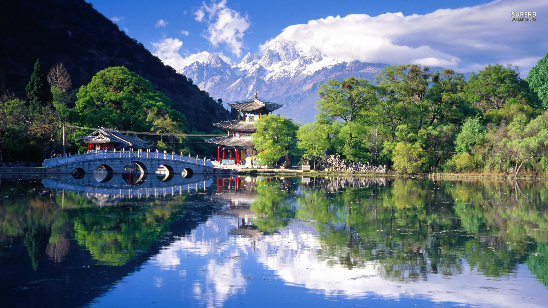 nature Wallpaper