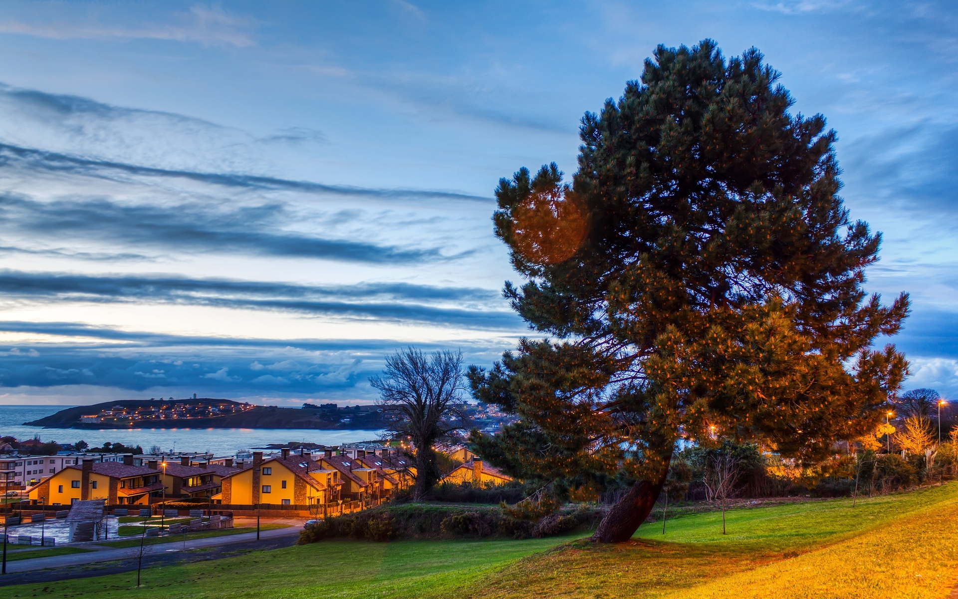 spain, Cities, Trees Wallpaper