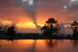 sunset, Pond, Trees, Lake, Reflection
