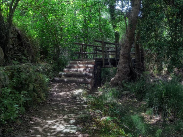 forest, Bridge, Trail, Trees, Bush, Shadow, Greece, Crete HD Wallpaper Desktop Background