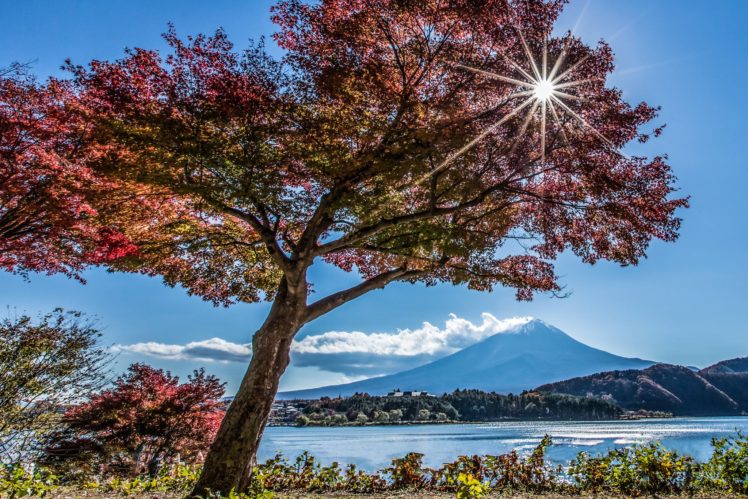 japan, Mountain, Volcano, Lake, Tree HD Wallpaper Desktop Background