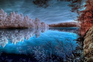 pond, Trees, Lake, Forest, Surface, Pond, Beach, Winter, Autumn, Frost, Reflection