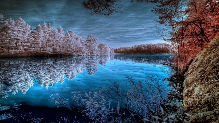 pond, Trees, Lake, Forest, Surface, Pond, Beach, Winter, Autumn, Frost, Reflection HD Wallpaper Desktop Background
