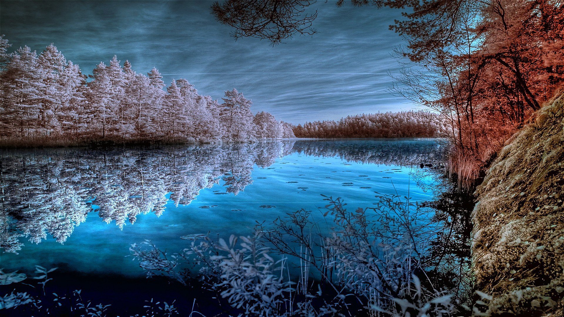 pond, Trees, Lake, Forest, Surface, Pond, Beach, Winter, Autumn, Frost, Reflection Wallpaper