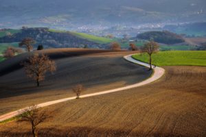 road, Field, Landscape, Hills, People