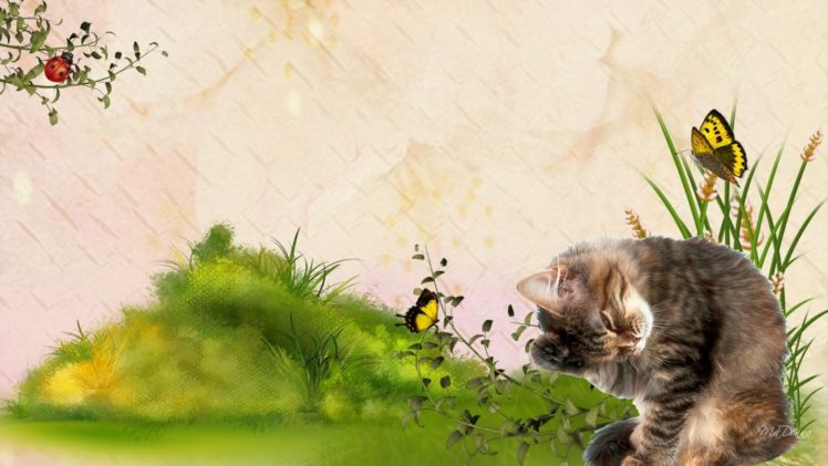kittens, Kitten, Cat, Cats, Baby, Cute HD Wallpaper Desktop Background