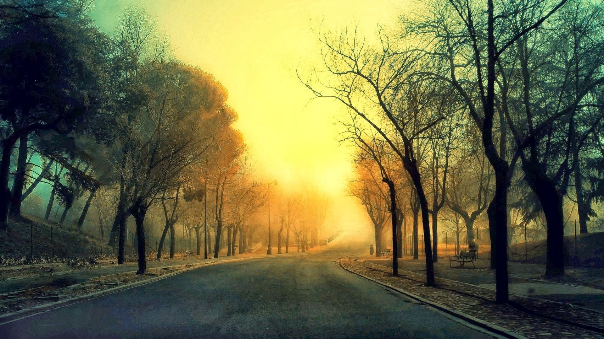 tree, Fog, Nature, Beauty Wallpaper