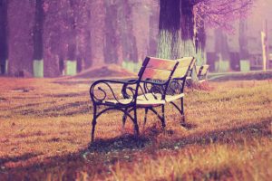 fall, Blue, Park, Chair, Lonely, Nature