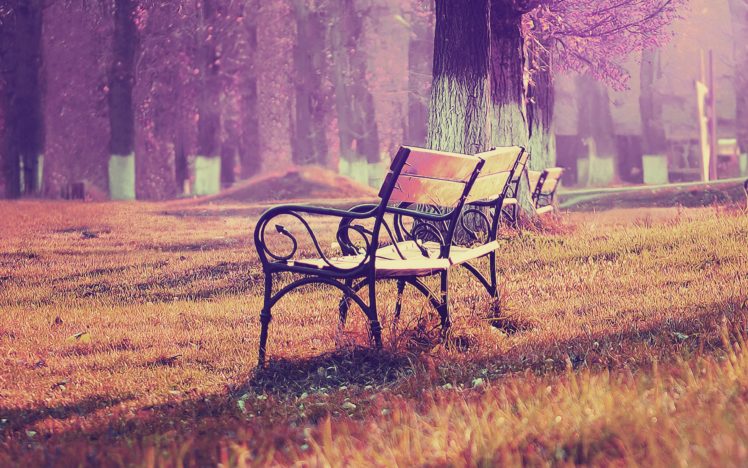 fall, Blue, Park, Chair, Lonely, Nature HD Wallpaper Desktop Background