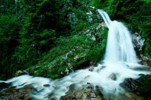 waterfall, Water, Stones, Herbs