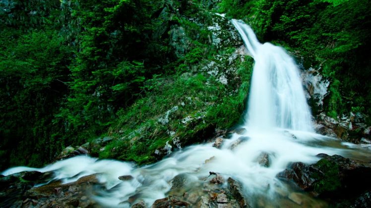 waterfall, Water, Stones, Herbs HD Wallpaper Desktop Background