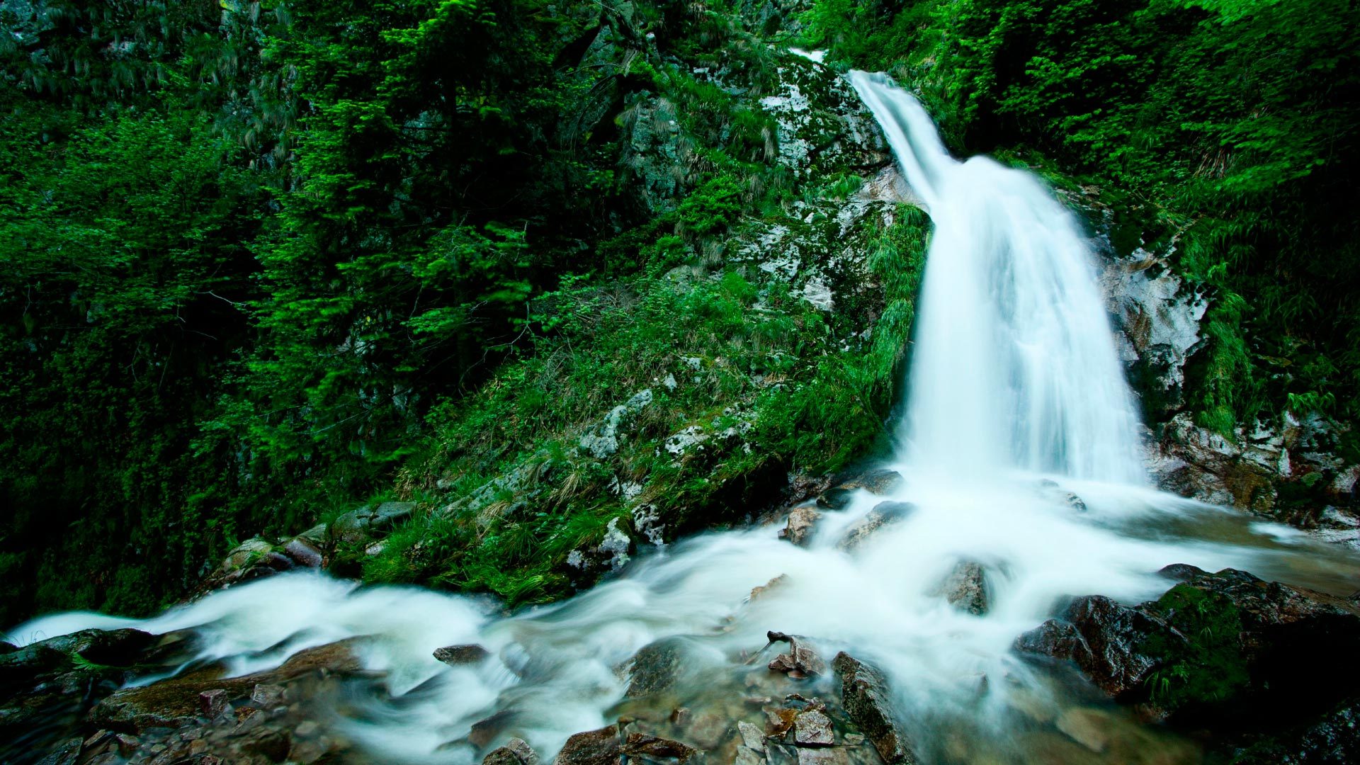 waterfall, Water, Stones, Herbs Wallpaper