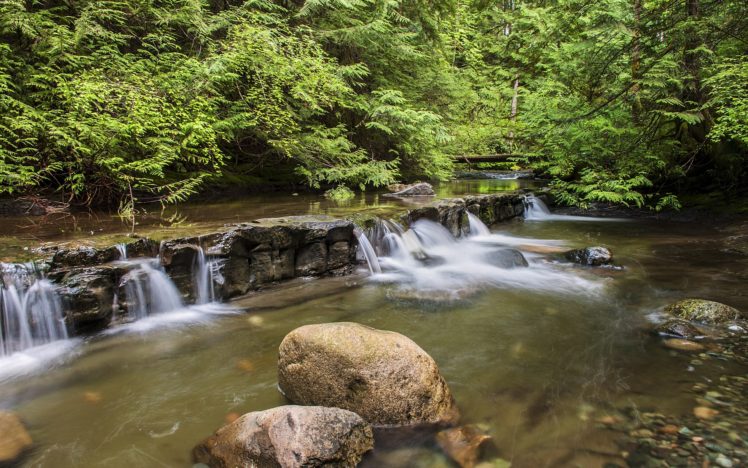 waterfall, Woods, Rocks, Trees, Landscape HD Wallpaper Desktop Background