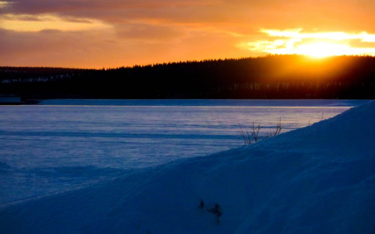 winter, Evening, Sunset, Forest, Snow, Nature HD Wallpaper Desktop Background