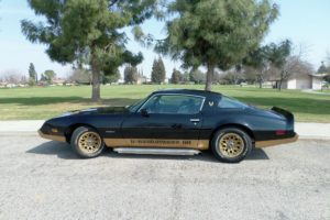 1981, Pontiac, Firebird, Muscle, Classic, Old, Original, Usa,  01
