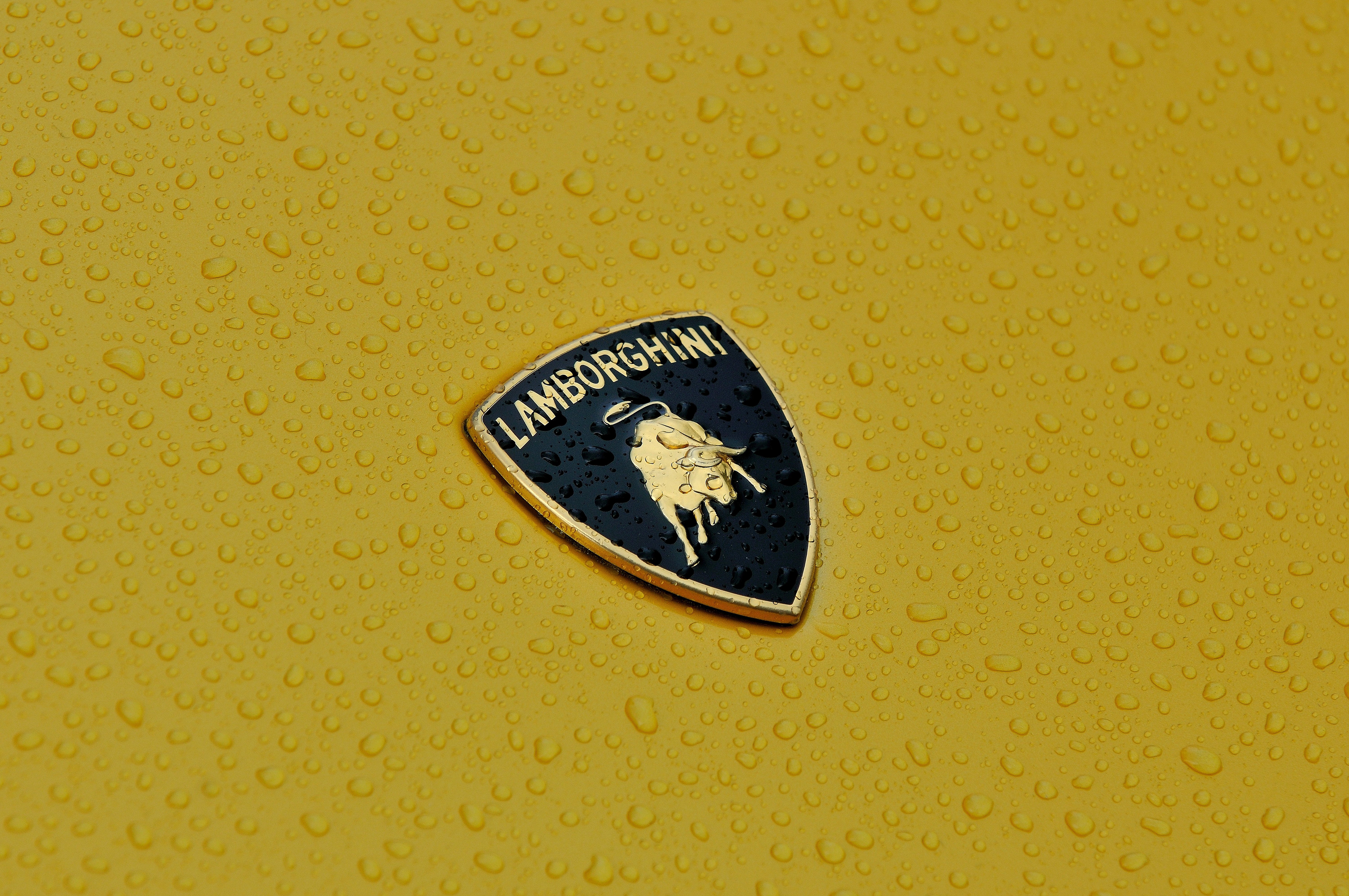 2001, Lamborghini, Diablo, Vt, Supercar, Exotic, Italy,  07 Wallpaper