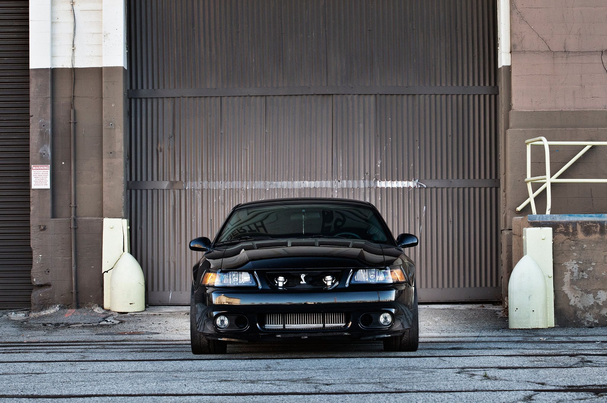 2003 Ford Mustang Cobra Terminator supercar