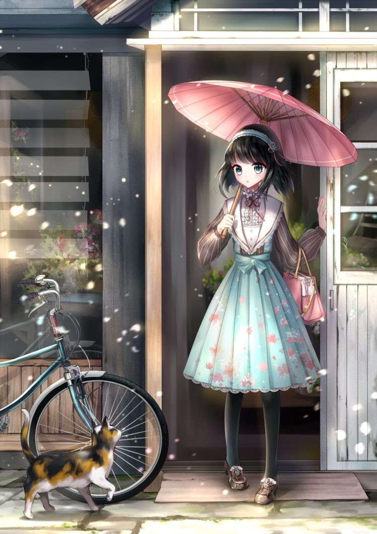 anime, Original, Girl, Beautiful, Cute, Dress, Bike, Cat, Kitty HD Wallpaper Desktop Background