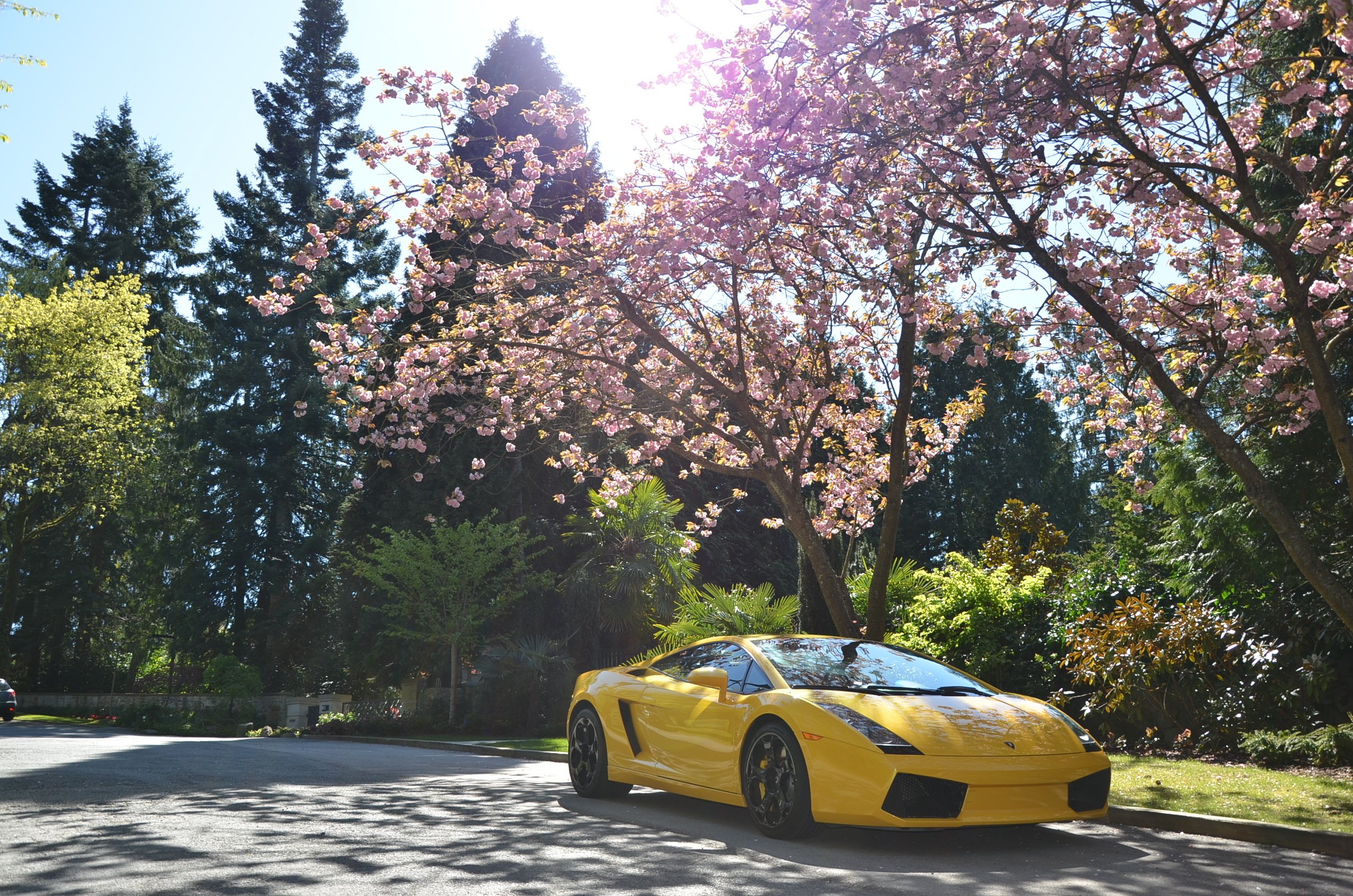 2005, Lamborghini, Gallardo, Lp550, Supercar Wallpaper