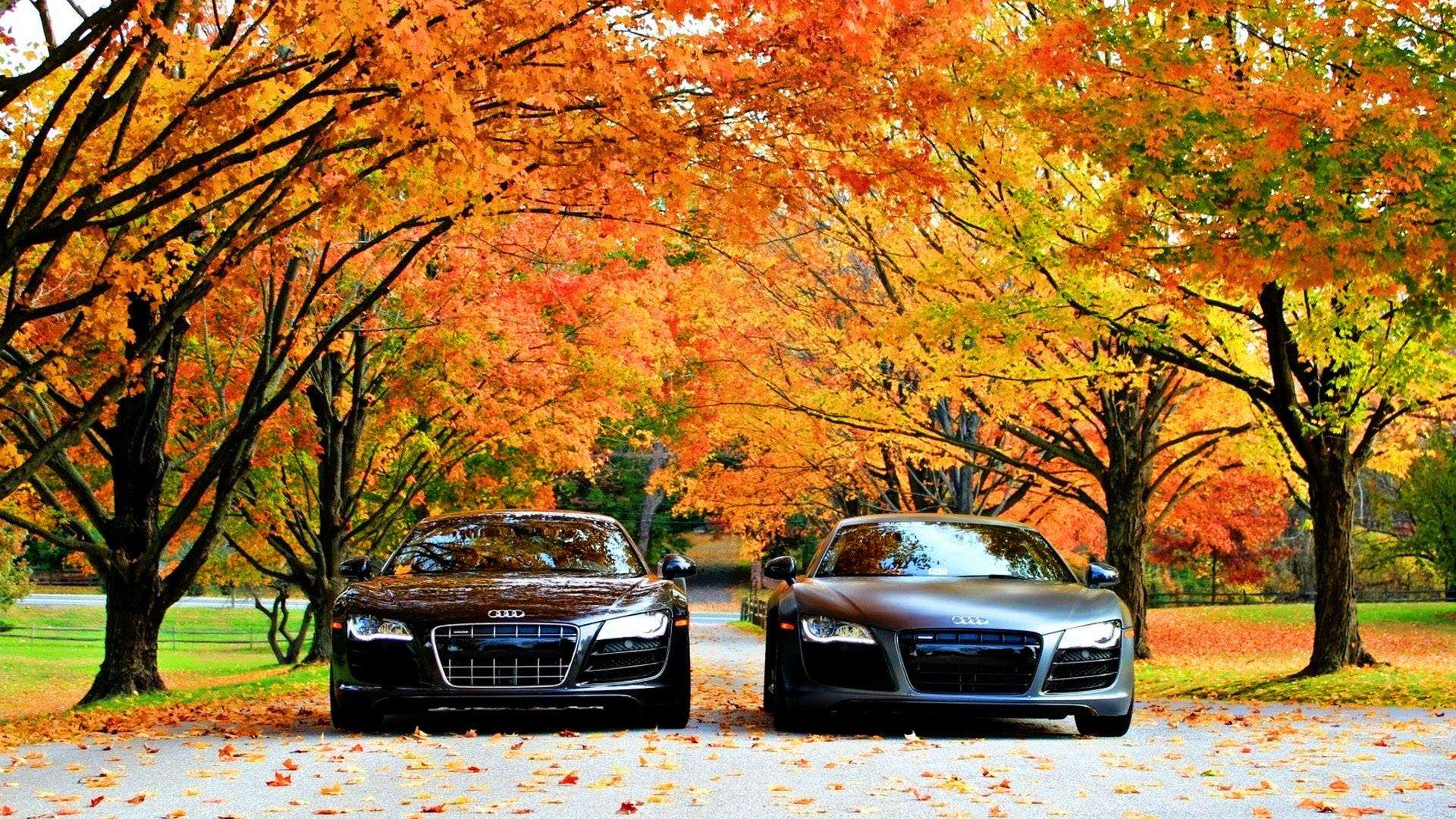 audi Wallpaper