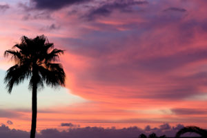 sunset, Sky, Clouds, Palm, Trees