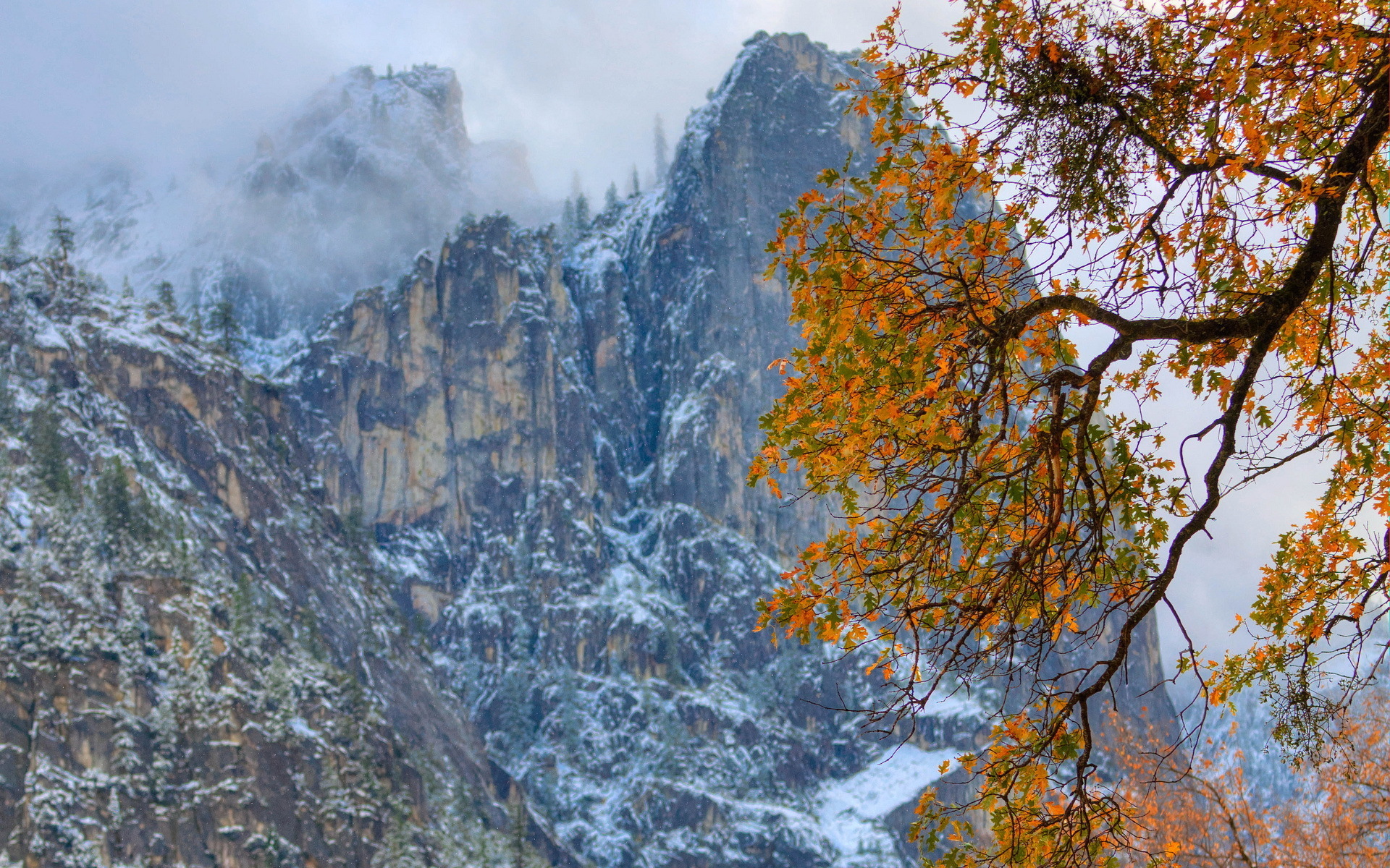 tree, Mountains, Autumn, Nature, Clouds, Leaves Wallpaper