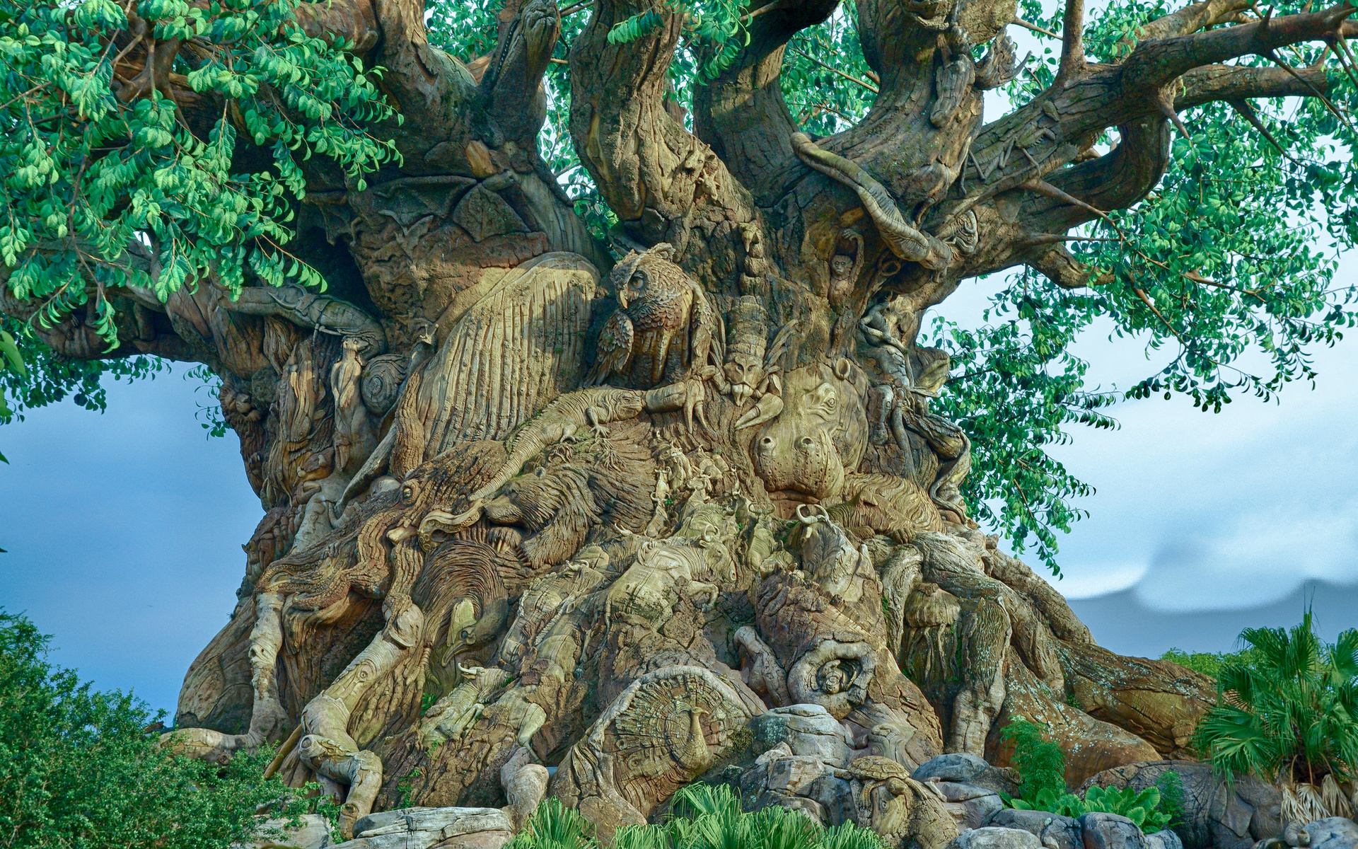 tree, Branch, Carved, Figure, Animal, Owls, Birds, Landscapes Wallpaper