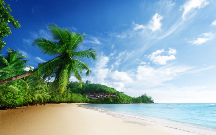 nature, Scenery, Sea, Beach, Sky, Clouds, Palm, Trees, Ocean, Tropical HD Wallpaper Desktop Background
