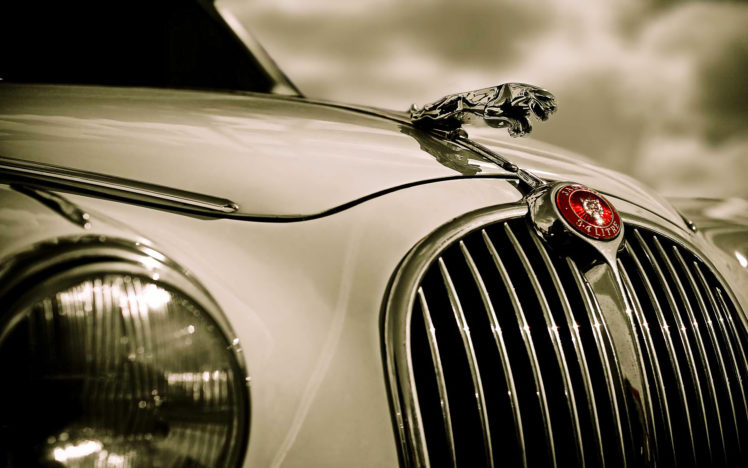 jaguar, Vintage, Car HD Wallpaper Desktop Background