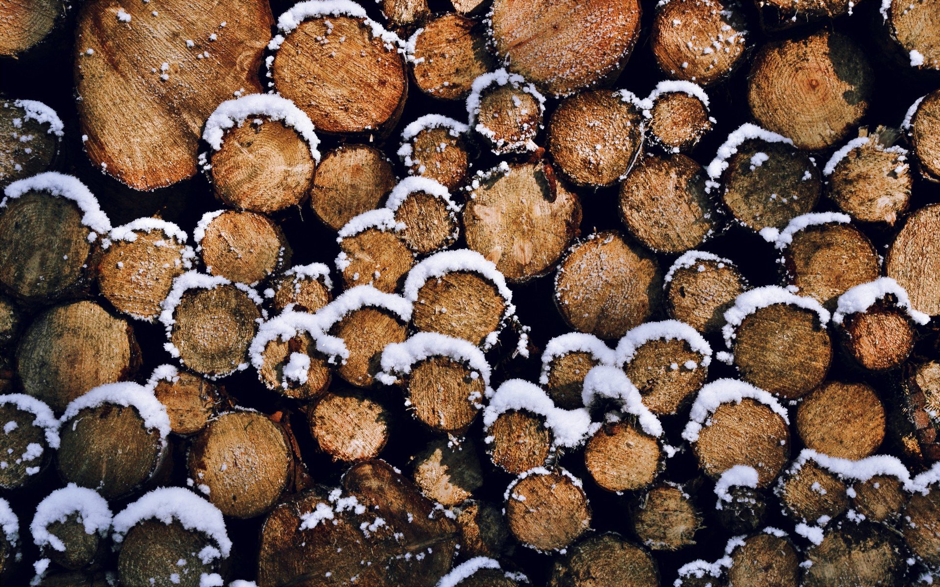 wood, Covered, With, Snow Wallpaper