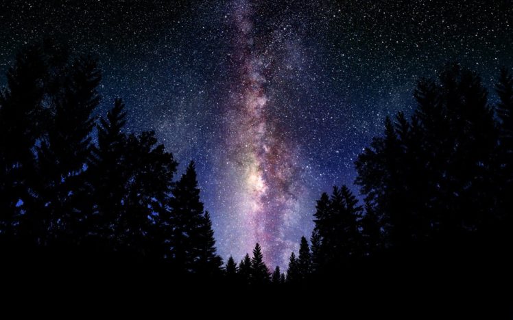 landscape, Sky, Stars, Forest, Night HD Wallpaper Desktop Background