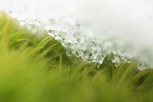 ice, On, Grass