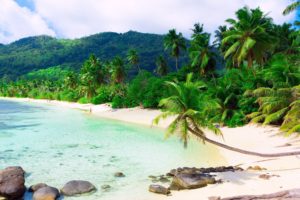 playa, Tropical, Caribe, Paisaje
