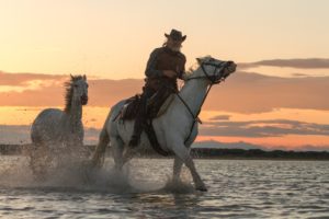 river, Morning, Cowboy, Horseman, Equestrian, Horses, Swim, Western, Rustic, People
