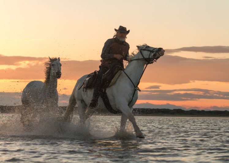 river, Morning, Cowboy, Horseman, Equestrian, Horses, Swim, Western, Rustic, People HD Wallpaper Desktop Background