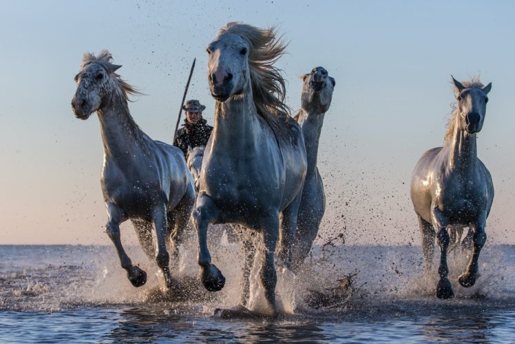 horse, Drops, Ocean, Sea, Lake, River, Western, Cowboy, People HD Wallpaper Desktop Background