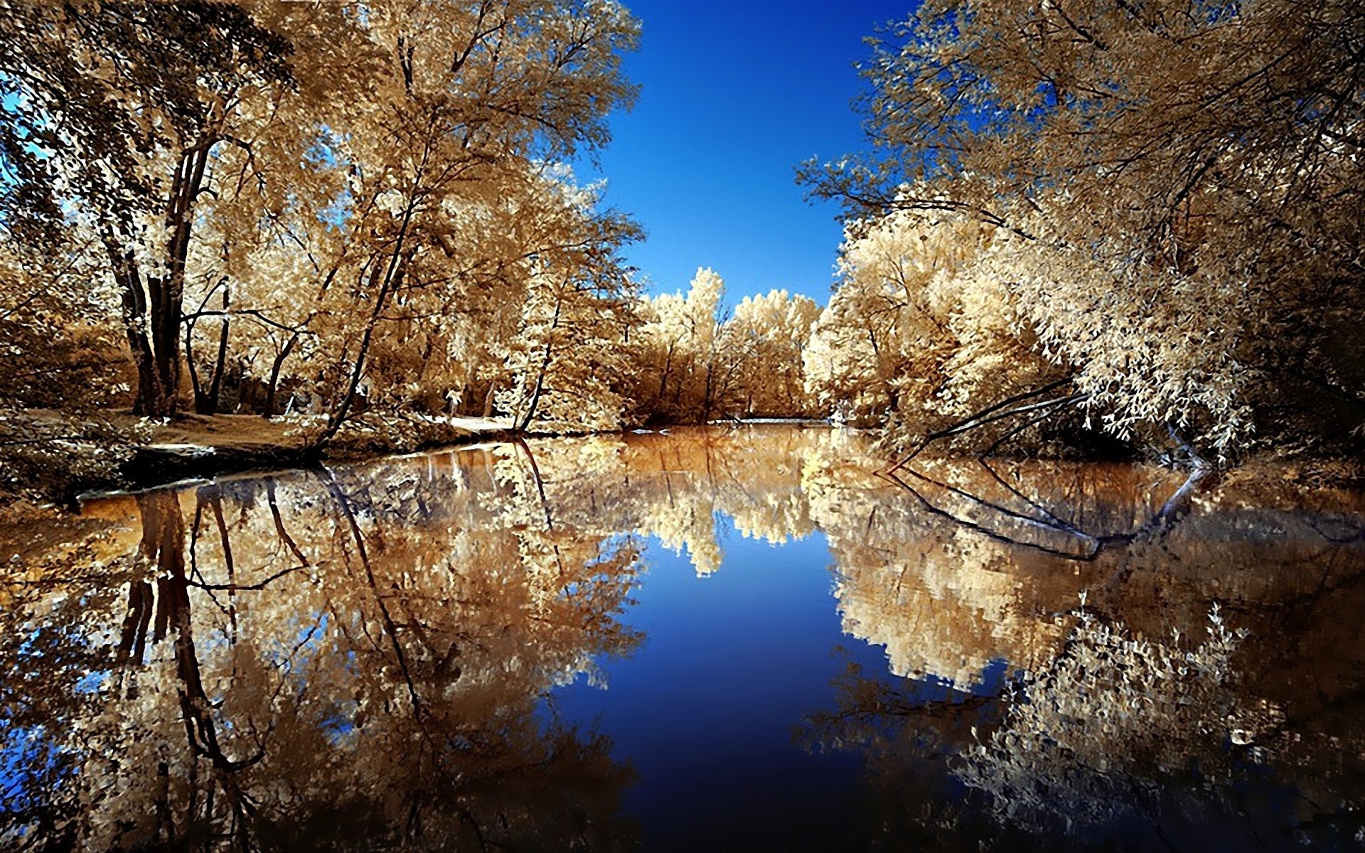 nature Wallpaper