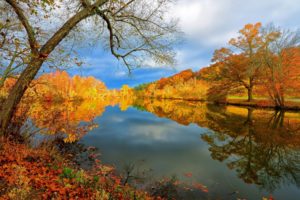 lake, Autumn, Nature, Landscape, Reflection, Trees, Sky