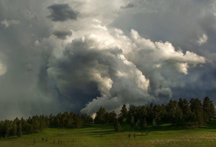 south, Dakota, Supercell, Clouds, Storm, Forest HD Wallpaper Desktop Background