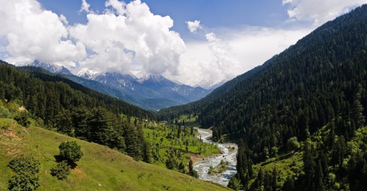 mountain, Cloud, Forest, River, Landscape, Nature HD Wallpaper Desktop Background