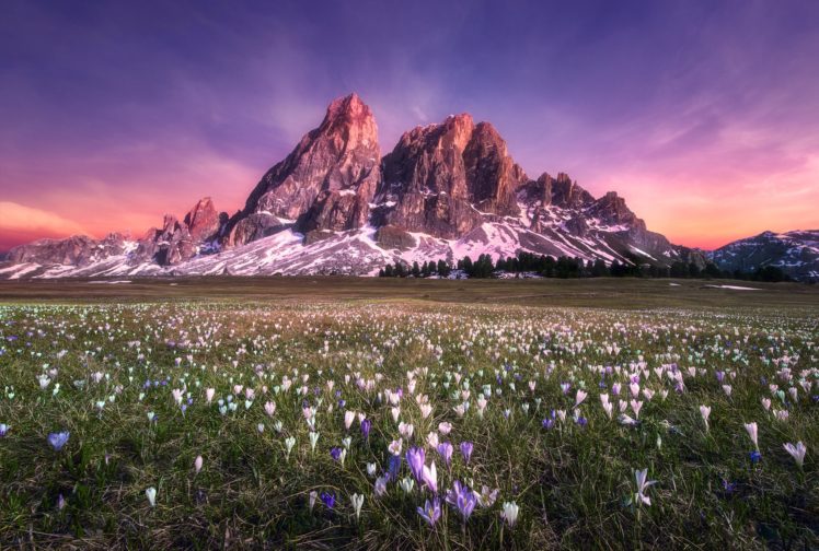 cliff, Grass, Flower, Mountain, Landscape, Nautre HD Wallpaper Desktop Background