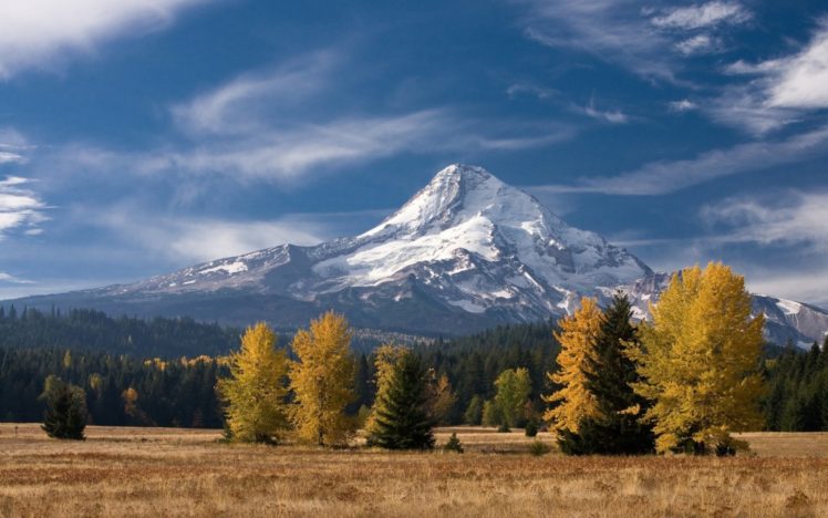 mountain, Forest, Tree, Landscape, Nature, Autumn, Snow HD Wallpaper Desktop Background